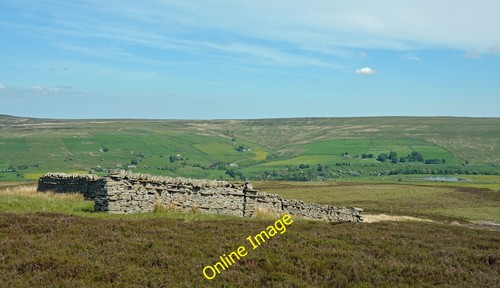 Photo 6x4 sheep - sheep, shelter