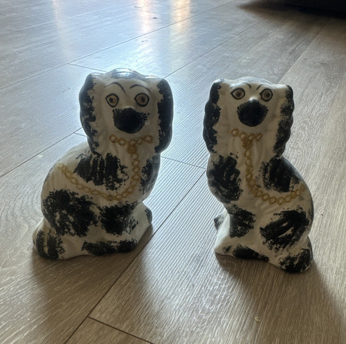 Pair cavalier king charles - cavalier,
