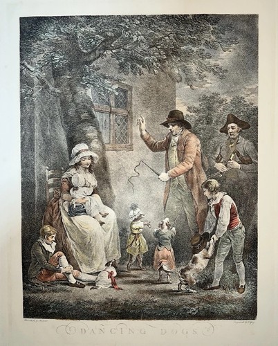 Antique colored engraving - , of