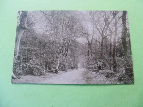 The entrance stody woods - entrance, to