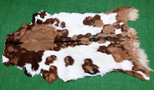 Luxury goat hide rug - goat,