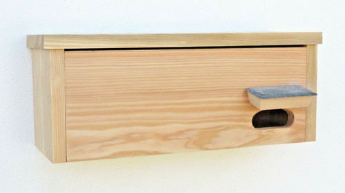 Swift box natural timber welsh - box,