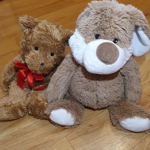 Intelex microwavable teddy - intelex,