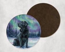 Labrador Retriever Dog