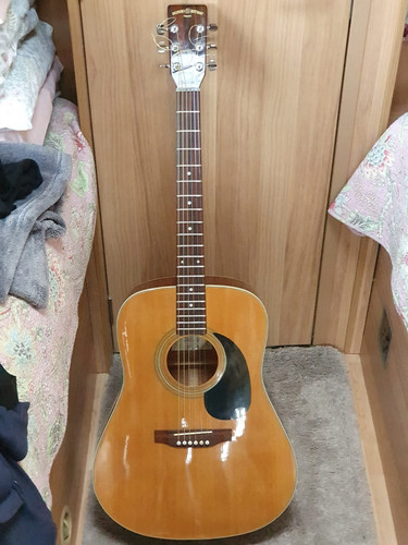 Suzuki 335 dreadnought - sd-335,