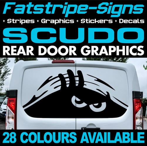 Fits fiat scudo - fiat, graphics