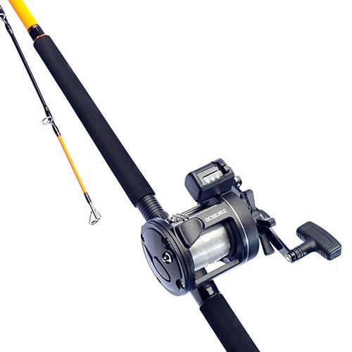 Daiwa sensor ready fish - to,