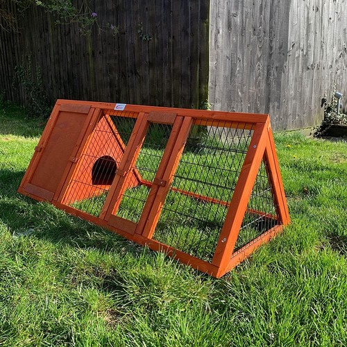 Bunny business pet supplies - bunny,