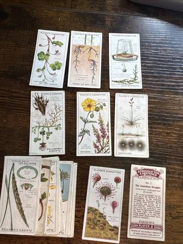 Wills cigarette cards the - cards,