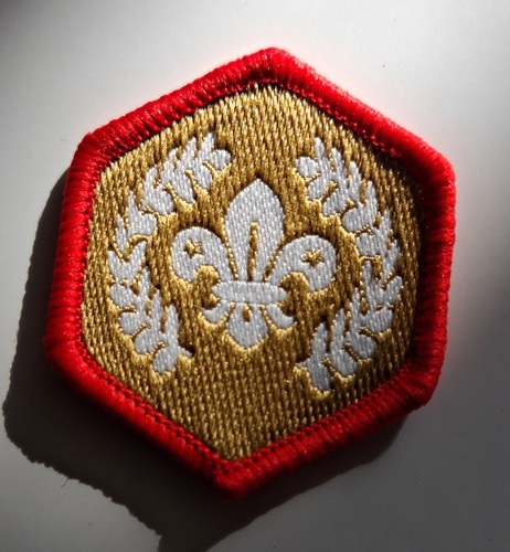 Scout chief gold - scout,