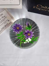 Caithness Lampwork Paperweight William Manson Michaelmas Daisy Purple Flower Box