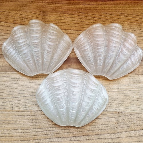 Vintage clam shell art - vintage,