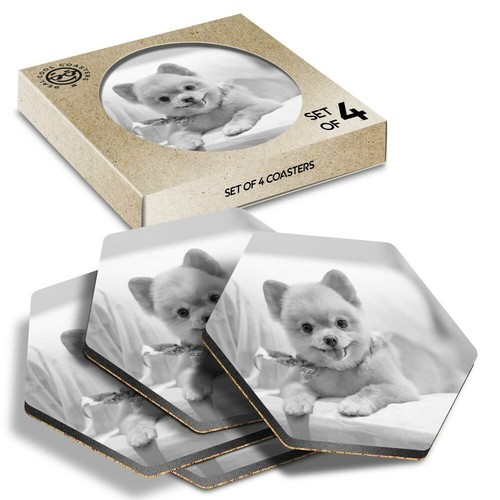 Hexagon coasters bw - x,