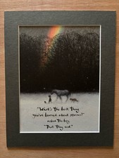 NEW THE BOY THE MOLE THE FOX HORSE AND STORM MACKESY STORMS END MOUNTED PAGE