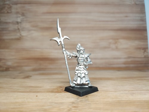 Dark elves elf black guard - dark,