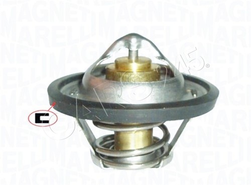 Magneti marelli coolant - magneti,