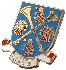Ware Town Pin Badge
