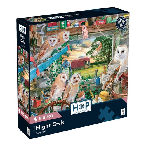 The house puzzles night - house,