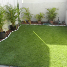Artificial grass dog - grass,