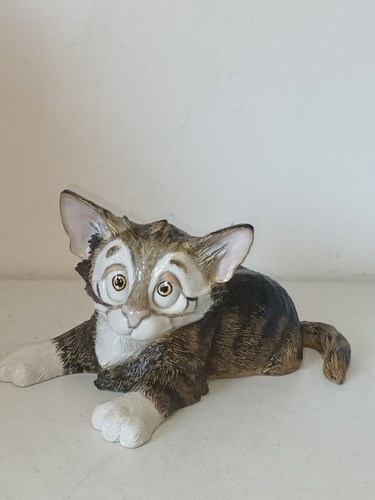 Arora design pets with - design,