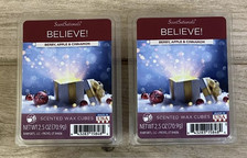 BELIEVE ScentSationals Scented