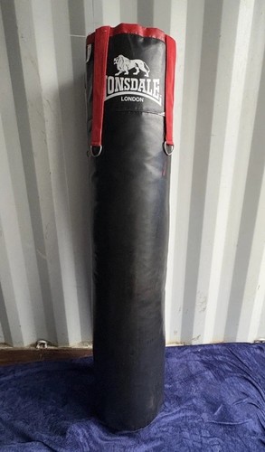 Everlast punch bag and - punch,