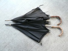Paragon Fox Umbrella Whangee