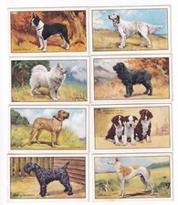 Eight 1936 DOG PAINTING Cards