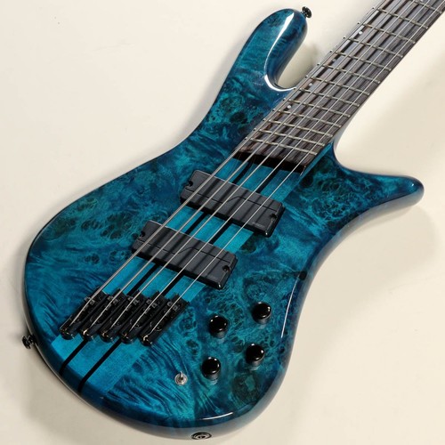 Spector dimension 5 - spector, ns