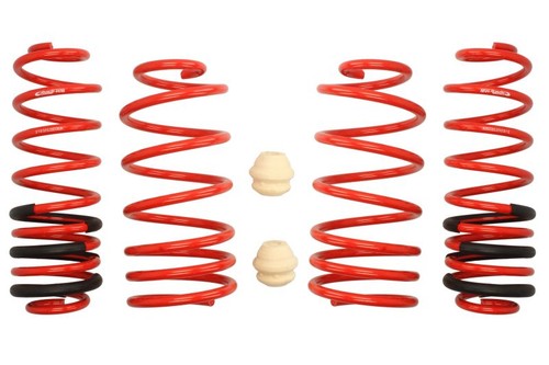 Fits audi lowering springs - fits,