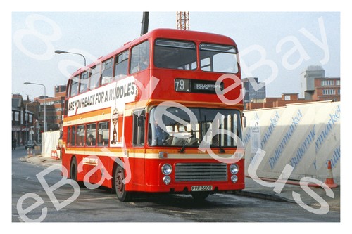 Bus photograph eastern - bus,