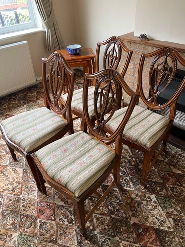 Vintage yew dining chairs set - yew,