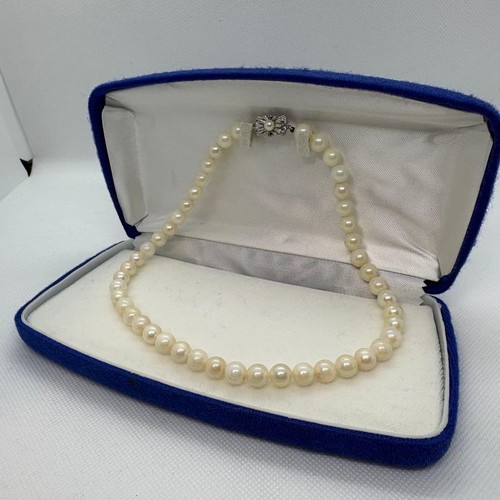 Akoya pearl 41cm - akoya, 8.5mm