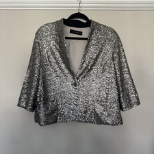 Zara Woman Matt Silver Sequin