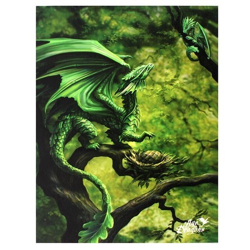 Anne stokes forest dragon - forest,