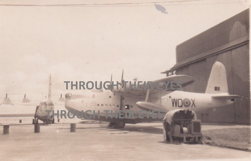 Original photo raf 209 - original,