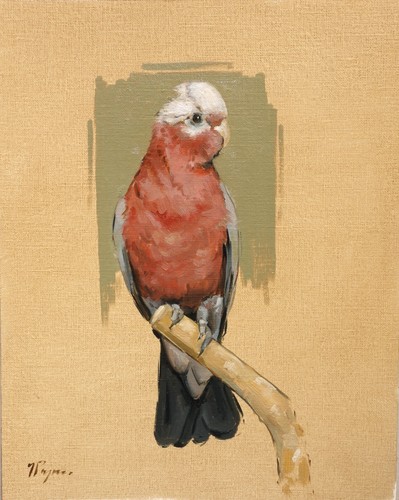 Wildlife art original - art,