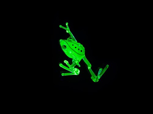 Glow the dark - in,