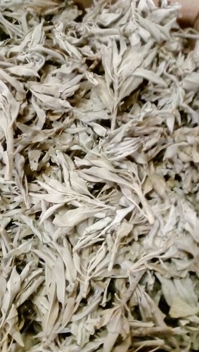 White sage clusters native - white,