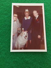 GIFFORD HOUSE WORTHING WAR VETERANS   Pyrenean Mountain Dog pet 1972 JACK WARNER