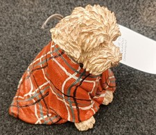 NEW Next Charlie Cockapoo