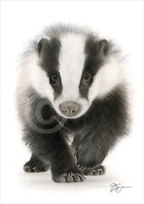 BADGER WALKING colour pencil drawing print A4 / A3 signed by UK artist artwork