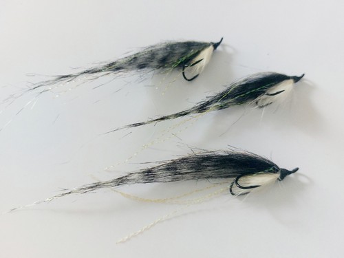 Sunray tigers size 8 - 3, x