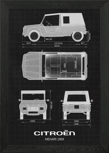 Citroen mehari 1969 framed - citroen,