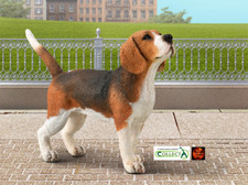 Beagle Dog Toy Model Figure by
