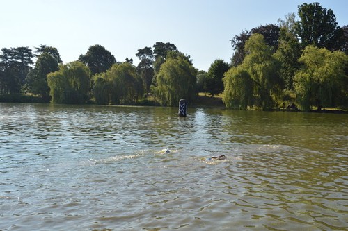Photo 6x4 the lake - photo, lake,