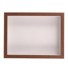  Wooden Insect Specimen Frame