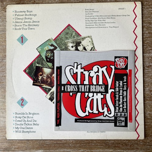 Stray cats - stray,