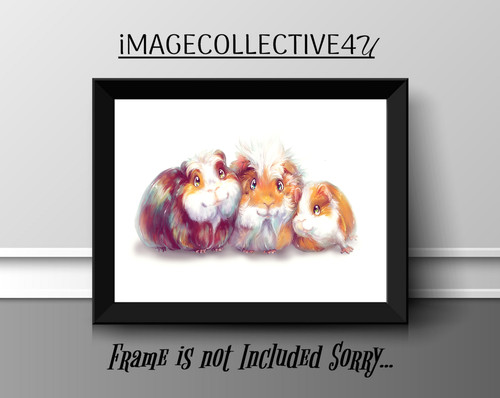 Guinea pig print picture - guinea,