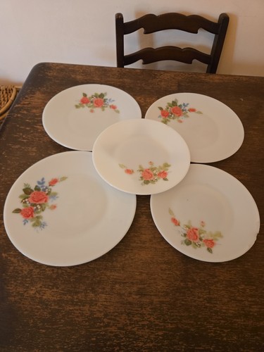 Pyrex dinner plates all chiped - dinner,